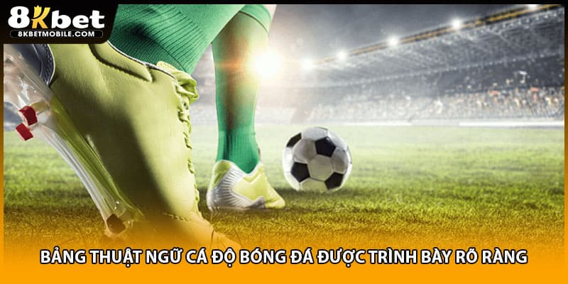 Bảng thuật ngữ cá độ bóng đá được trình bày rõ ràng